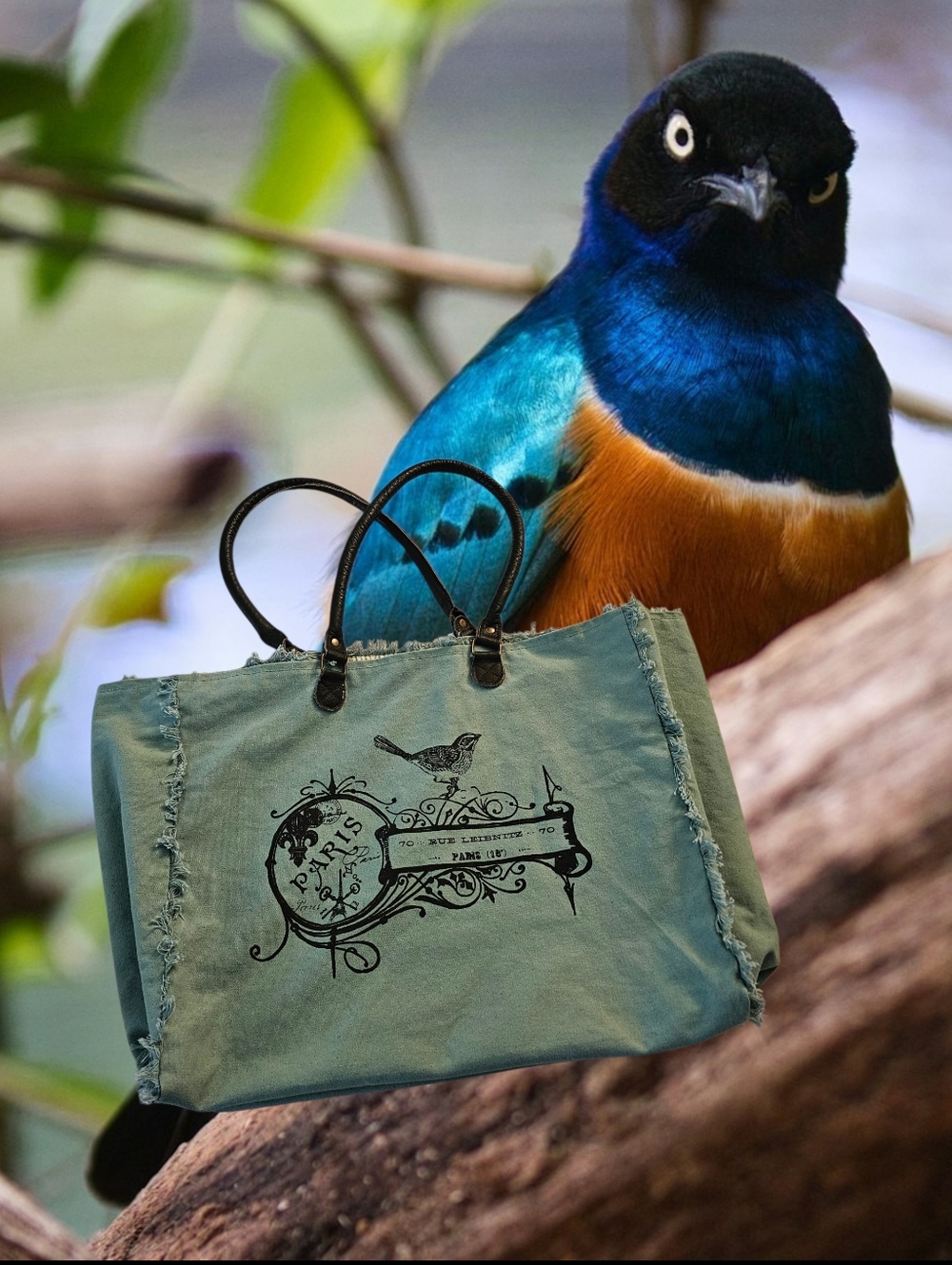Vintage Addiction Frayed teal Canvas Tote with black Printed bird & Paris Logo
